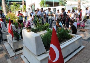 Milli tepki dinmiyor..